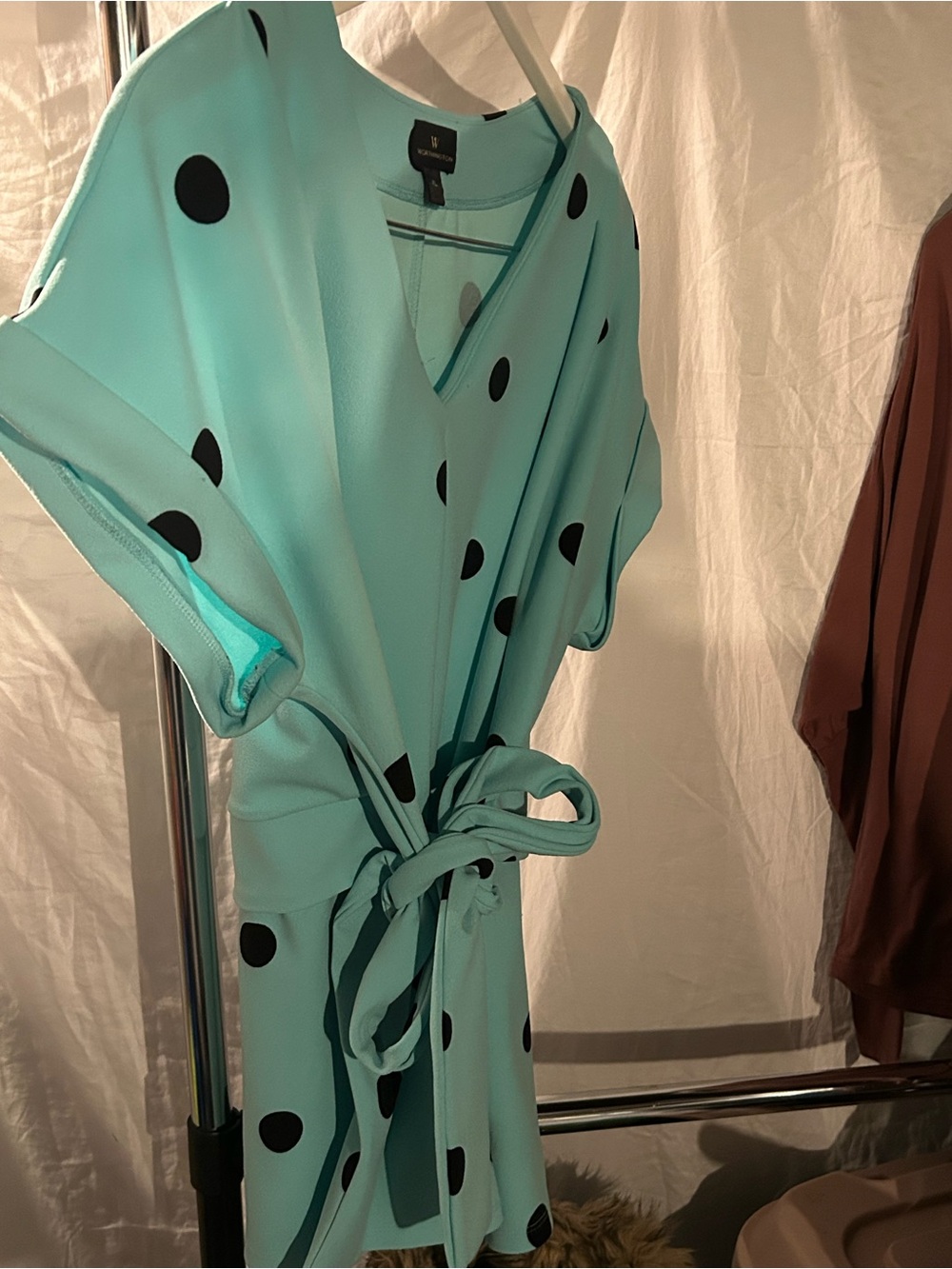 Worthington Light Teal polkadot blouse